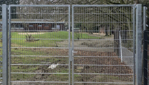 Tor Westfalenland als Gehegezufahrt
